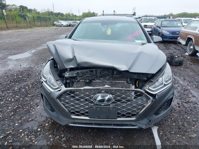 Hyundai SONATA SEL 2019 5NPE34AF5KH815856 Image 12