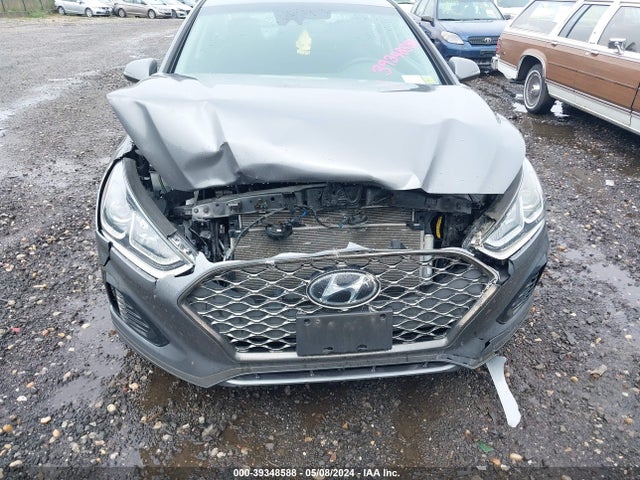 Hyundai SONATA SEL 2019 5NPE34AF5KH815856 Image 6