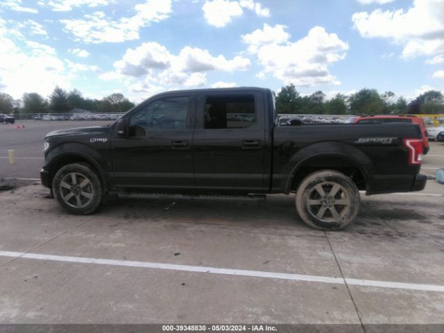 1FTEW1EF8HFB71319 Ford F-150 Xlt