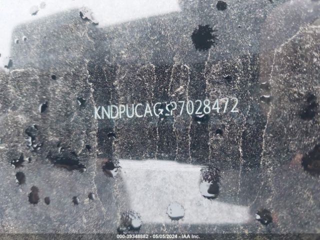 KNDPUCAG1P7028472 KIA Sportage Hybrid Lx