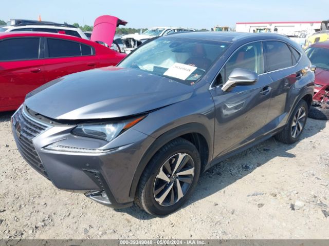JTJBARBZ1J2149977 Lexus NX 300