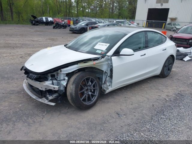 5YJ3E1EA5MF987160 Tesla Model 3 Standard Range Plus Rear-wheel Drive