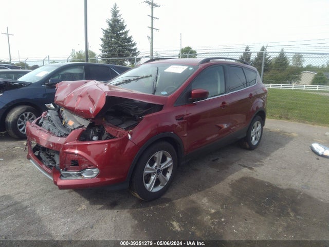 Ford ESCAPE SE 2014 1FMCU0G99EUE56290 Image 2