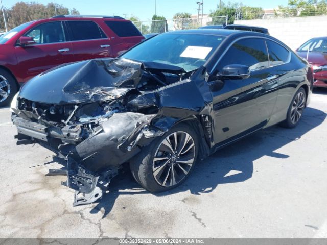 1HGCT2B88HA005750 Honda Accord Ex-l V6