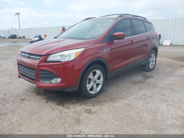 1FMCU0GX0EUB61822 Ford ESCAPE SE