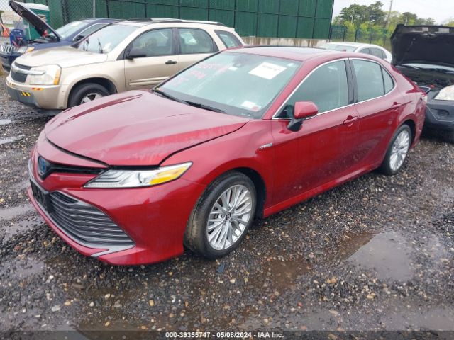 4T1F31AK9LU518592 Toyota Camry Xle Hybrid