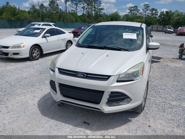 Ford ESCAPE SE 2015 1FMCU0GX1FUA15771 Image 12