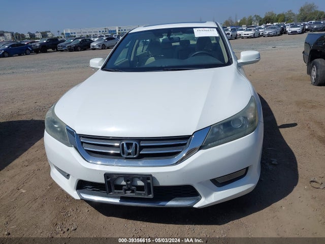 Honda ACCORD EX 2014 1HGCR2F73EA236874 Image 12
