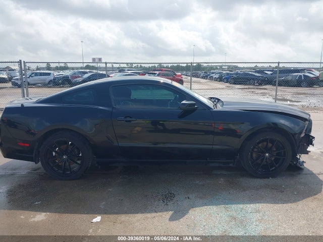 Ford Mustang V6 2014 1ZVBP8AM8E5237556 Image 14