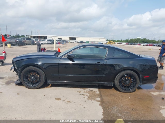 Ford Mustang V6 2014 1ZVBP8AM8E5237556 Image 15