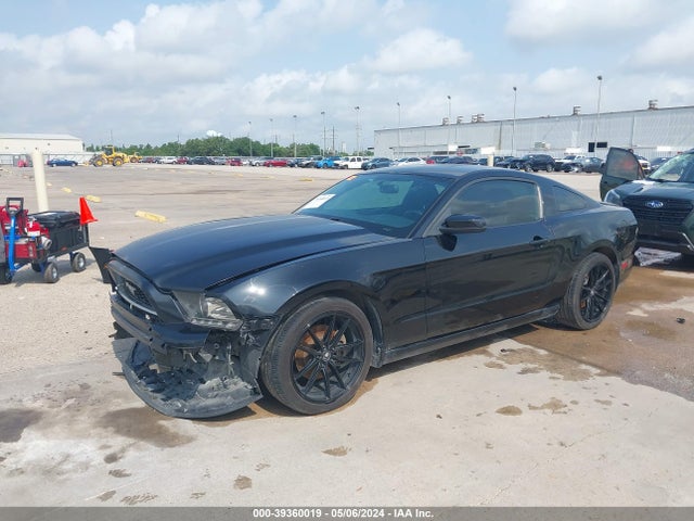 Ford Mustang V6 2014 1ZVBP8AM8E5237556 Image 2