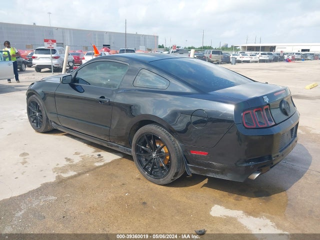 Ford Mustang V6 2014 1ZVBP8AM8E5237556 Image 3