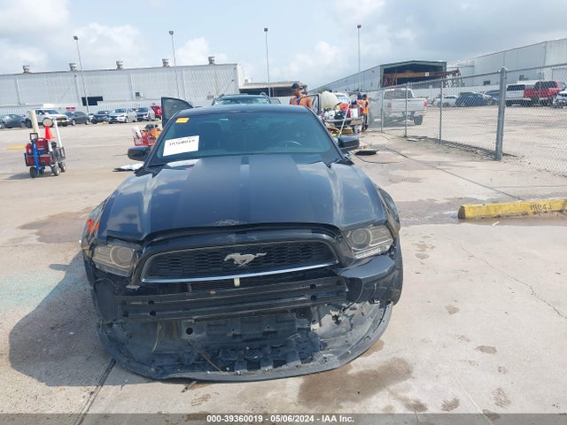 Ford Mustang V6 2014 1ZVBP8AM8E5237556 Image 6
