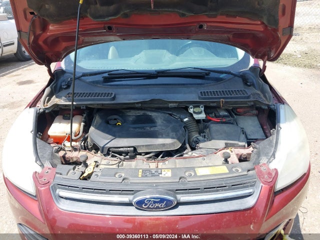 Ford ESCAPE SE 2014 1FMCU0GX8EUC28635 Image 10