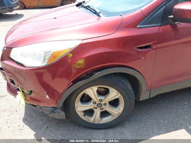 Ford ESCAPE SE 2014 1FMCU0GX8EUC28635 Image 12