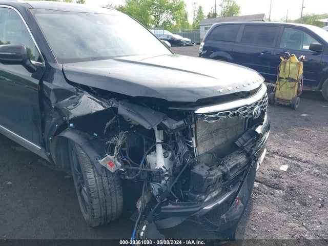 KIA Telluride Sx 2020 5XYP5DHCXLG047167 Image 6