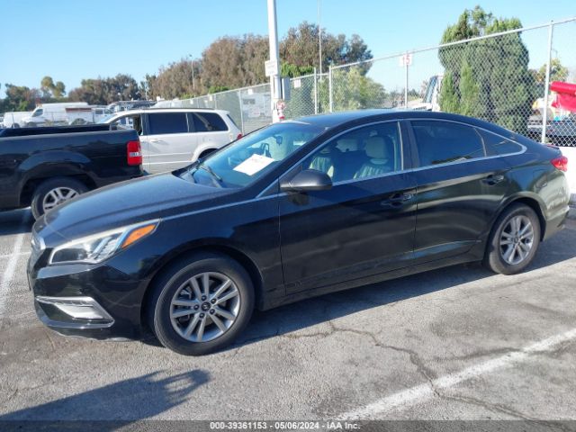 5NPE24AF1FH250319 Hyundai SONATA SE
