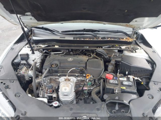 19UUB1F51GA001233 Acura TLX TECH