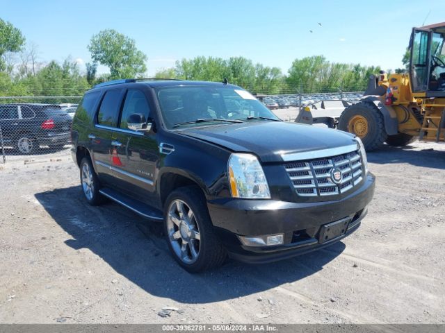 Auction sale of the 2007 Cadillac Escalade Standard, vin: 1GYFK63897R172553, lot number: 39362781