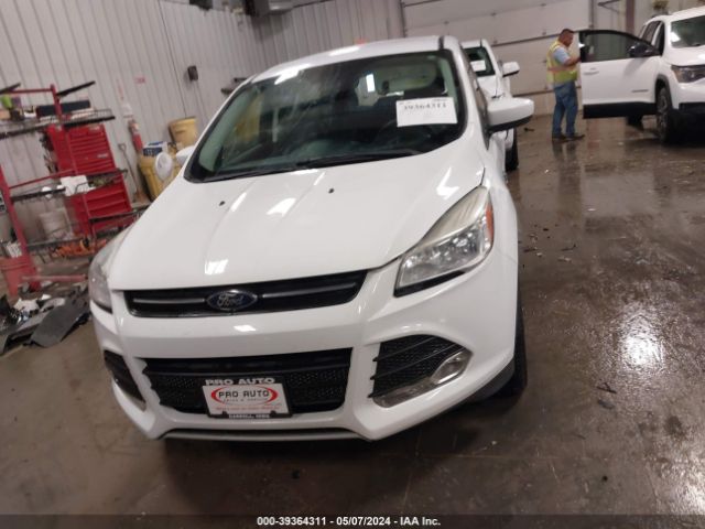 1FMCU9GX6GUB47463 Ford ESCAPE SE