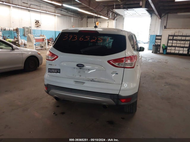 Ford ESCAPE SE 2014 1FMCU9GX7EUD52531 Image 6