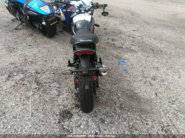 2024 TRIUMPH MOTORCYCLE SPEED SMTT127Y8RNA07252 Photo 5