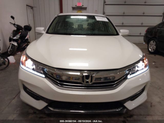 1HGCR3F83HA040338 Honda Accord Ex-l V6