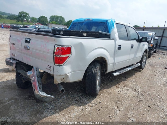 1FTFW1CF2EKD29986 Ford F-150 Xlt