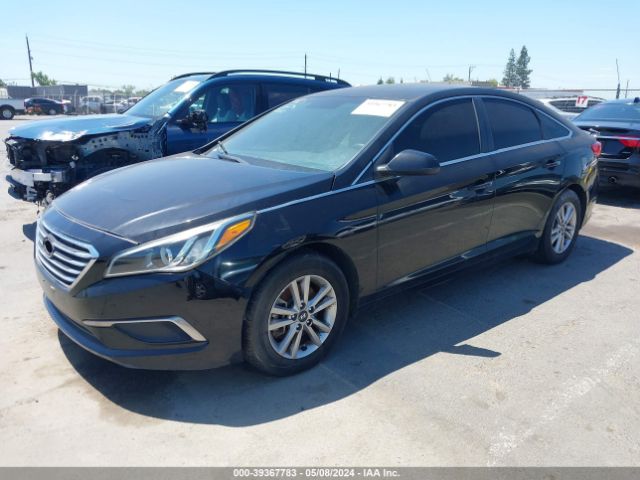 5NPE24AF5GH359190 Hyundai SONATA SE