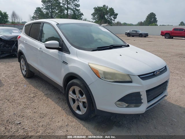 Ford ESCAPE SE 2014 1FMCU0GX5EUA89659 Image 1