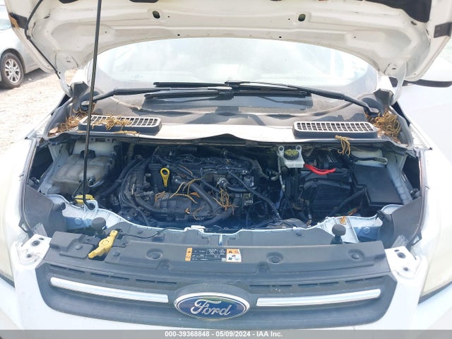 Ford ESCAPE SE 2014 1FMCU0GX5EUA89659 Image 10