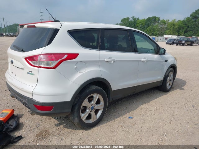 Ford ESCAPE SE 2014 1FMCU0GX5EUA89659 Image 4