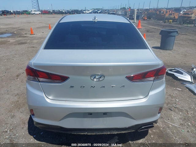 Hyundai SONATA SEL 2019 5NPE34AF6KH788716 Image 16