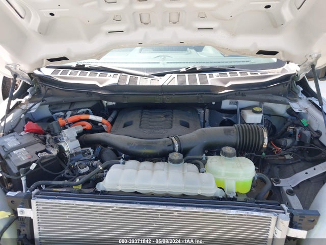 Ford F-150 Xl 2023 1FTFW1ED4PFA39854 Image 10