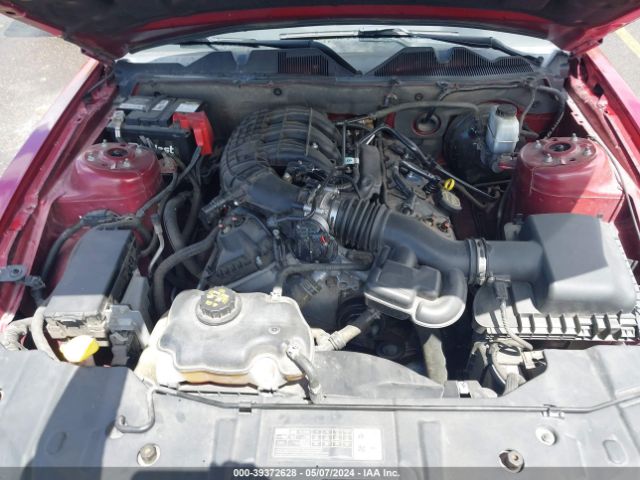1ZVBP8AMXE5284751 Ford Mustang V6 Premium