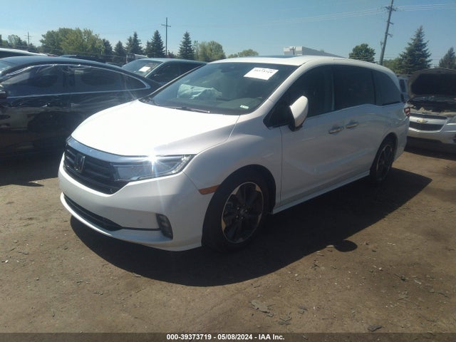 Honda Odyssey Elite 2024 5FNRL6H96RB000183 Image 2