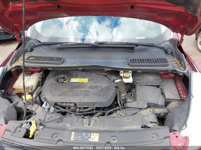 Ford ESCAPE SE 2014 1FMCU0GX8EUA50595 Image 10