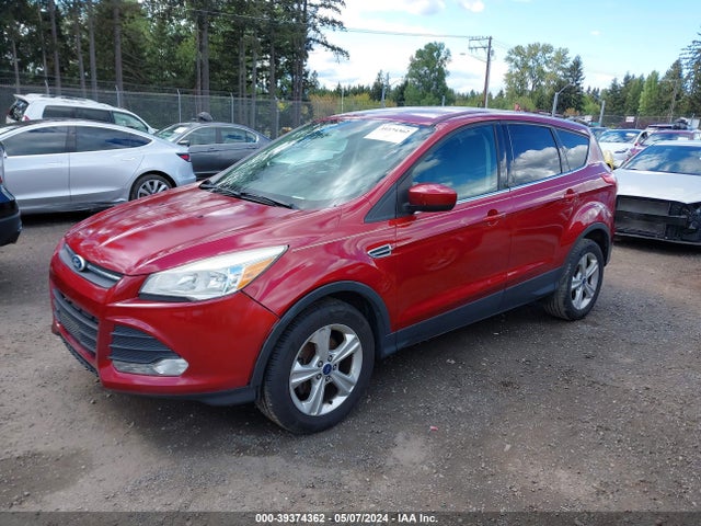 Ford ESCAPE SE 2014 1FMCU0GX8EUA50595 Image 2
