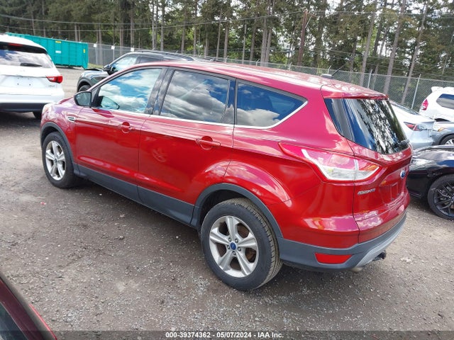 Ford ESCAPE SE 2014 1FMCU0GX8EUA50595 Image 3