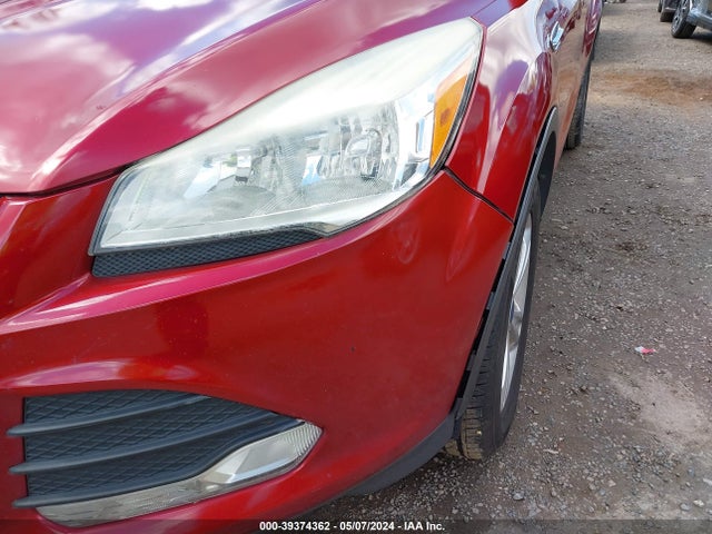 Ford ESCAPE SE 2014 1FMCU0GX8EUA50595 Image 6