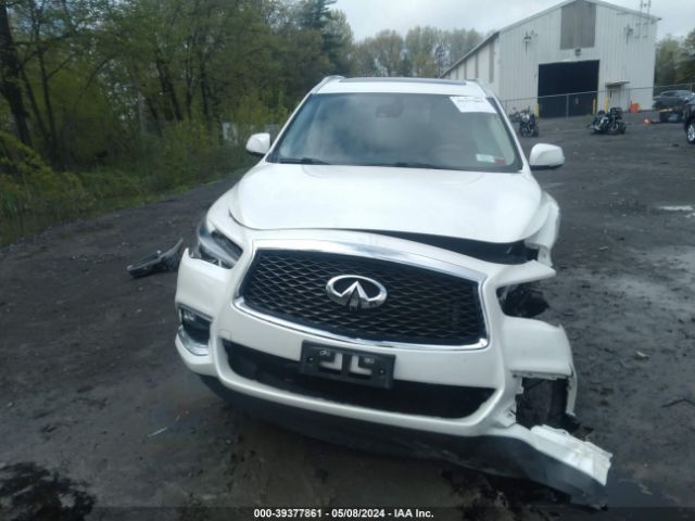 5N1DL0MM9KC522399 Infiniti QX60 LUXE