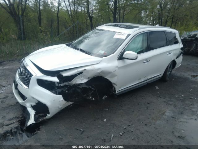 5N1DL0MM9KC522399 Infiniti QX60 LUXE