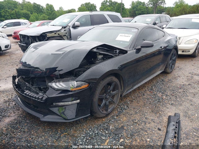 Ford Mustang Ecoboost Fastback 2020 1FA6P8TH6L5145255 Image 2