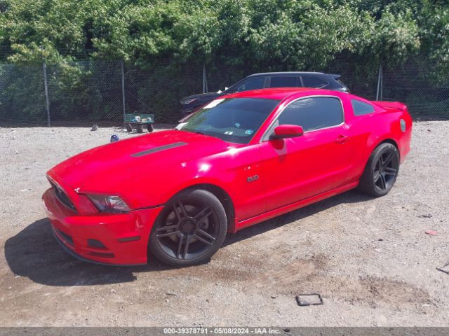2013 FORD MUSTANG 1ZVBP8CF4D5261527 Photo 1