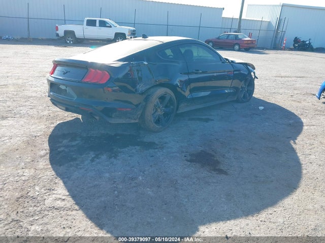 Ford Mustang Ecoboost Fastback 2022 1FA6P8TH6N5148837 Image 4