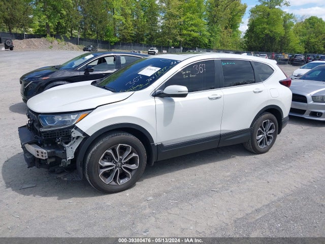 Honda Cr-v Awd Ex-l 2020 5J6RW2H82LL026513 Image 2