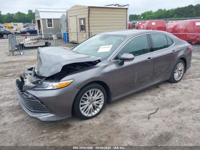 4T1F31AK9LU528216 Toyota Camry Xle Hybrid