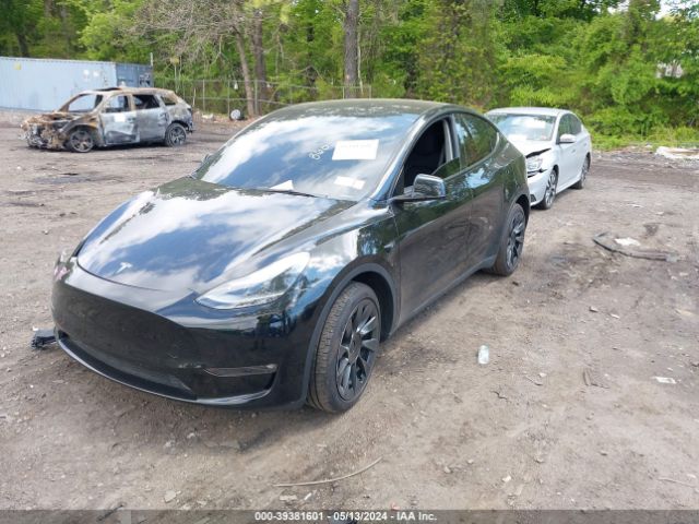 7SAYGDED7PF935158 Tesla Model Y Rwd