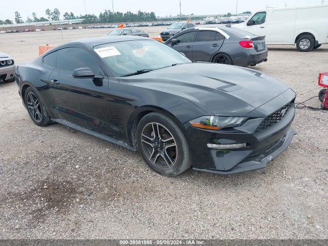 2019 1FA6P8TH9K5119585 main image