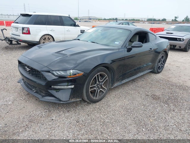 Ford Mustang Ecoboost 2019 1FA6P8TH9K5119585 Image 2